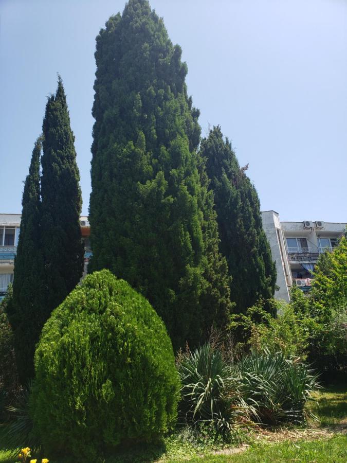 Family Hotel Magnolia Sunny Beach Exterior foto